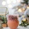 TopComfy Decorative Object Glass Christmas Ball Ornaments Flocking Feather Set for Holiday Decor, Brown, 4.7"*4.7"*4.7" - 2 of 4