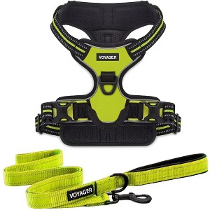 Voyager Dual-Attachment No-Pull Dog Harness with 6ft Leash Combo  - 1 of 4