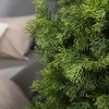 3-5FT Artificial Cedar Topiary Trees for Indoor and Outdoor UV Protection Fake Trees for Home Decor Set of 2 - 3 of 4