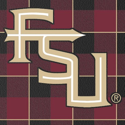 florida state seminoles athletic wordmark
