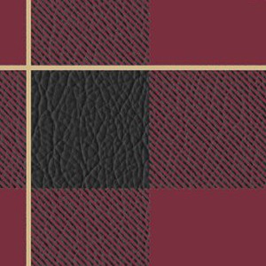 florida state seminoles athletic wordmark
