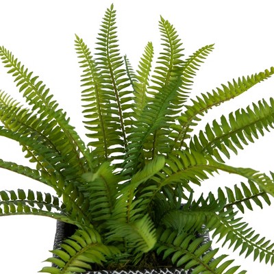 Artificial Boston Fern in Distressed Black Tin Planter