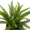Northlight 20" Boston Fern Artificial Plant in Weathered Square Planter - Green/Gray - 4 of 4