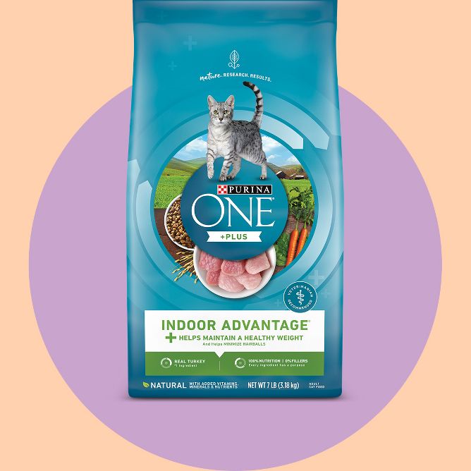 Purina ONE Cat Food Target