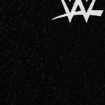 stone cold steve austin