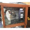 Farm Innovators Model Heated Water Bottle for Rabbits, 32-Ounce, 20-Watt - 2 of 4