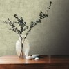 Veer Decor Pampas Plain Brushed Texture Wallpaper - 3 of 3