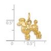 Black Bow Jewelry 14k Yellow Gold 3D Textured Poodle Charm or Pendant - 4 of 4