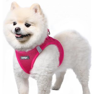 rabbitgoo Small Dog Harness, Step-in Soft Mesh Puppy Vest with Safety Buckle, Breathable Reflective Pet Harness for Small Sized Dogs, Rose Red S - 1 of 1