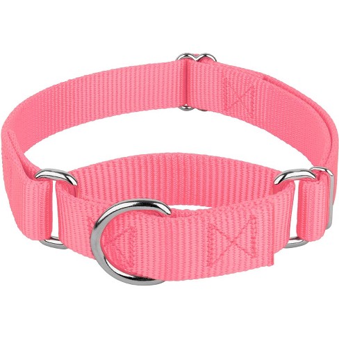 Heavy duty martingale dog 2024 collar