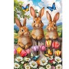 Briarwood Lane Spring Garden Flag 12x18 For Outdoor Bunny Greeting For Spring Garden Flag Flags For Outside - 3 of 4