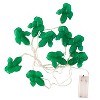 Perfect Holiday 10 LED with Cactus Battery Operated String Light - Warm White - 2 of 4