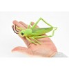 Collectible Wildlife Gifts | Grasshopper, Rubber Toy Insect, Realistic Figure, Model, Replica, Kids Educational Gift,    7"    -    F2059 B134 - 3 of 4
