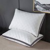 Dr Pillow Sepoveda Pillow Cases set of 2 - 2 of 3