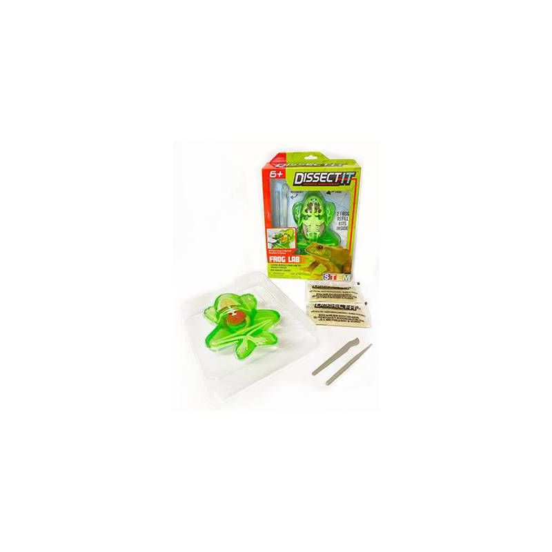 Top Secret Toys Dissect It - Frog Nature Exploration Toy, 6 of 13