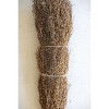 Lanka Tree Branch Bundle – 39" Tall Natural Dried Accent by Kalalou - 2 of 3