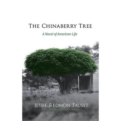 The Chinaberry Tree - by  Jessie Redmon Fauset (Paperback)