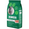 Iams ProActive Health Healthy Senior Dry Cat Food - 7lbs ...