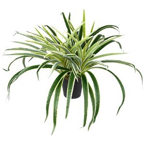 Northlight 13" Two-Tone Grass Artificial Potted Plant - Green/White - 1 of 4