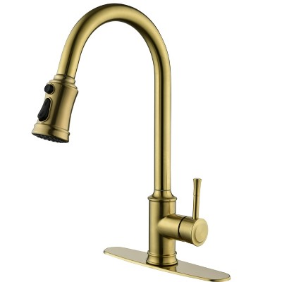 DOMETOUR Single Handle High Arc Pull Out Kitchen Faucet, Single Level Stainless Steel Kitchen Sink Faucets with Pull Down Sprayer