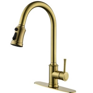DOMETOUR Single Handle High Arc Pull Out Kitchen Faucet, Single Level Stainless Steel Kitchen Sink Faucets with Pull Down Sprayer - 1 of 4