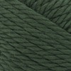Lion Brand Hometown Yarn - 2 of 2