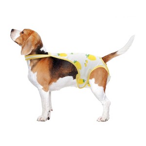 Unique Bargains Dog Diapers for Female Dog Period Washable Reusable with Adjustable Suspender - 1 of 4