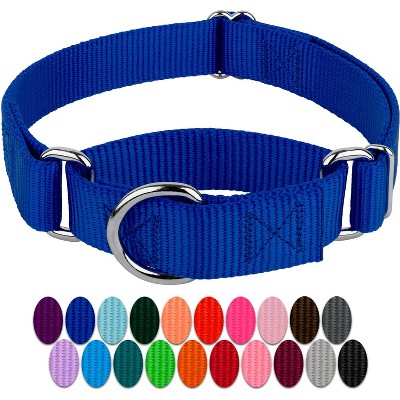 Country Brook Petz Martingale Heavyduty Training Collar with No Buckle - Service Collar for All Dogs - Vibrant, Colorful Collection