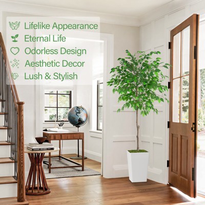 6ft Artificial Ficus Tree with White Planter