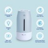 LivePure Cool Mist Humidifiers  w/ Quiet Operation, USB-C Rechargeable. - 4 of 4