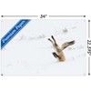 Trends International The Comedy Wildlife Photography Awards: Angela Bohlke - Diving Fox Unframed Wall Poster Prints - 3 of 4