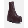 PURNELL Burgundy High Platform Women Ankle Boots - 2 of 4