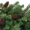 Northlight Pre-Lit  Red Pine Artificial Christmas Wreath - 48" - LED Warm White Lights - 2 of 3