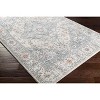 Hauteloom Billings Area Rug - 4 of 4