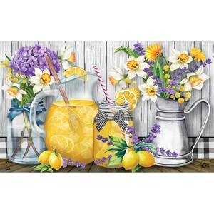 Briarwood Lane Doormat 30x18 Indoor Outdoor Lemonade Summer For Summer Doormat - 1 of 4