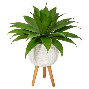 Nearly Natural 33-in Agave Succulent Artificial Plant in White Planter with Stand