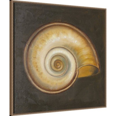 30"x30" Seashell I by Patricia Pinto Framed Canvas Wall Art Print Bronze - Amanti Art: Hand-Stretched, Madison WI, Nautical Decor