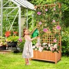 Costway Raised Garden Bed Planter Box Climbing Plants Container with Trellis &Hanging Roof - 4 of 4