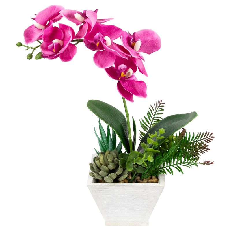 Northlight 12" Orchid with Succulent Artificial Potted Plant - Pink, 3 of 8