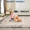 Washable Living Room Rug with Distressed Modern Border, Non-Slip, Soft Decorative Accent Carpet, Contemporary Minimalist Design for Bedroom Floor. - 3 of 4