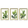 FONTOI Plants Wall Art Set of 3 Green Leaf Prints with Wood Picture Frame, Wall Decor Living Room Modern Decor for Office, Green 20"* 28"*1.2" - 3 of 4