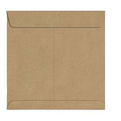 LUX 9 x 9 Square Envelopes 2 11/16 x 3 11/16 Grocery Bag 8585-GB-50