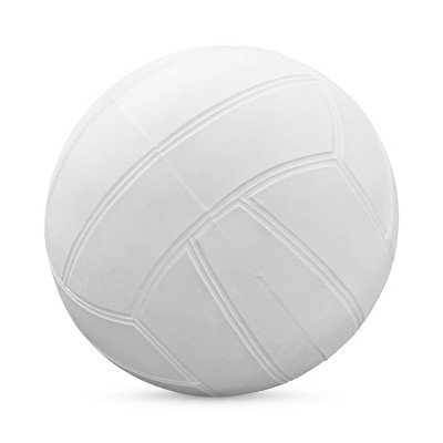 Botabee 7.8'' Swimming Pool Standard Size Water Volleyball - White : Target