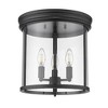 Z-Lite Thayer 3 - Light Flush Mount in  Matte Black - 2 of 4