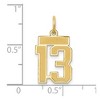 Black Bow Jewelry 14k Yellow Gold, Jersey Collection, Small Number 13 Pendant - 4 of 4
