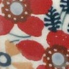 red daisy