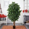 HomeStock  5.5 ft. Artificial Ficus Tree in Pot for Indoor/Outdoor - 4 of 4