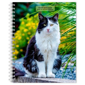 BrownTrout Cat Lovers 2026 6"x7.75" Spiral-Bound Wire-O Engagement Planner Calendar - 1 of 4