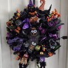 Northlight Colorado Spruce Artificial Halloween Wreath - 24" - Black - Unlit - 4 of 4