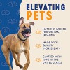 Finley's All Natural Peanut Butter & Banana Flavor Dog Treat Crunchy Biscuits - 4 of 4